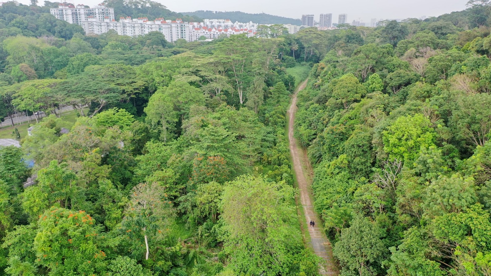 rail corridor sg